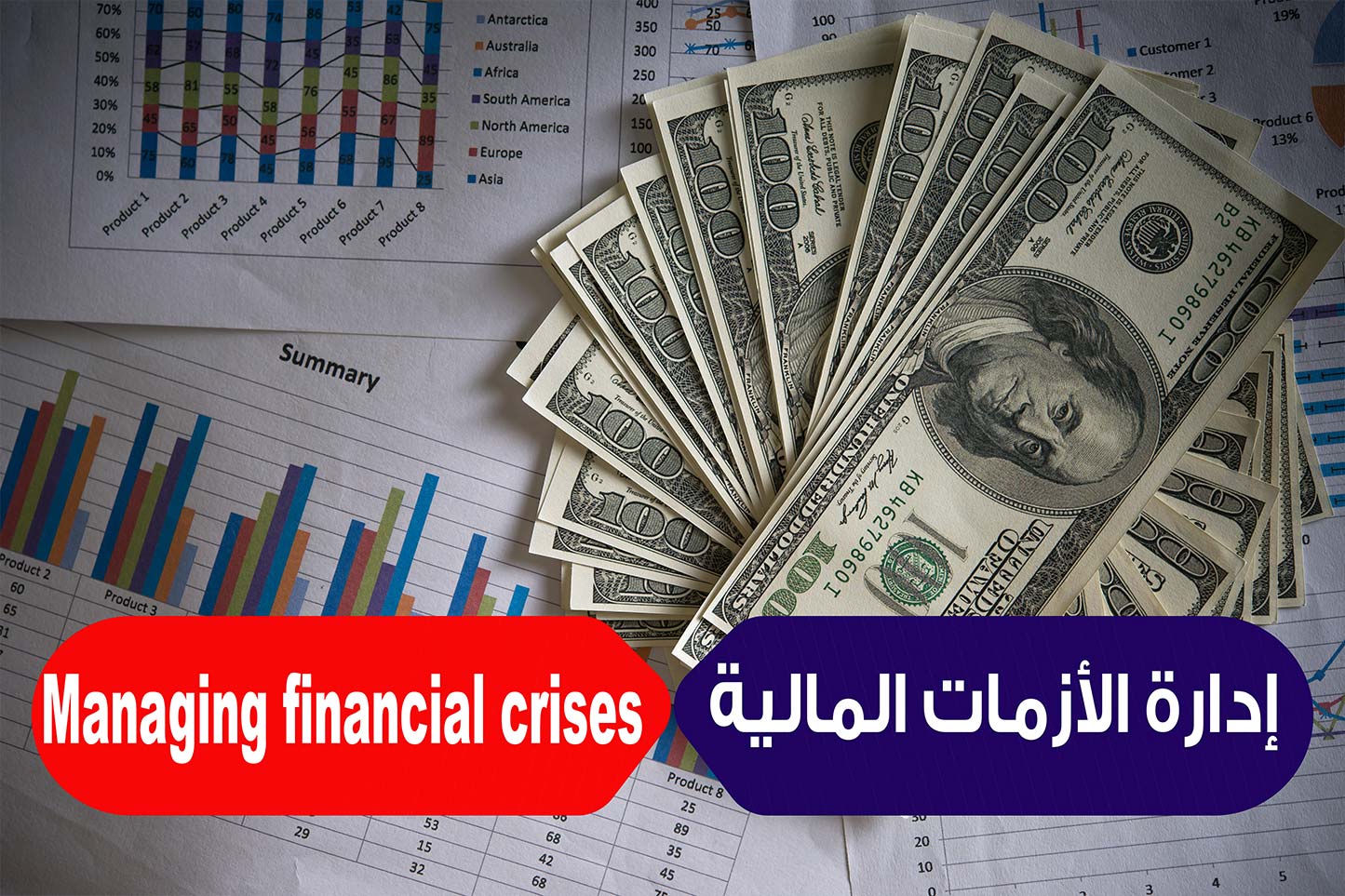 التعريف بالمبادئ الأساسية لإدارة الأزمات المالية